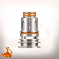 Mèches Boost Pro P0.2ohm/P0.4ohm Geekvape