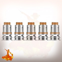 Mèches Boost Pro P0.2ohm/P0.4ohm Geekvape