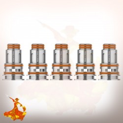 Mèches Boost Pro P0.2ohm/P0.4ohm Geekvape