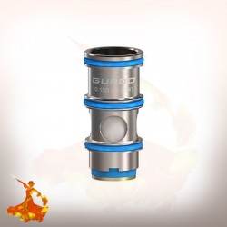 Mèches Guroo 0.15ohm / 0.3ohm Aspire