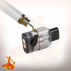 Cartouches Pod Wenax K1 0.8ohm / 1.2ohm Geekvape