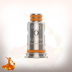 Mèches G Coil 0.8ohm / 1ohm Geekvape