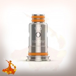 Mèches G Coil 0.8ohm / 1ohm Geekvape