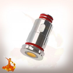 Mèches Pago P1/P2/P3/P4 Vaptio