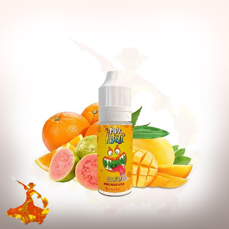 E-liquid Salopiot Liquideo Multi Freeze