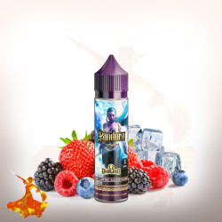 E-liquid Pandora 50ml Ohmland by Swoke Arôme boosté prêt à vaper