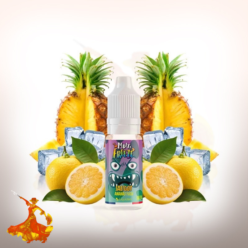 E-liquid Saligot Liquideo Multi Freeze