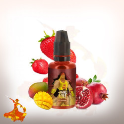 Concentré Hogano 30ml Fighter Fuel by Maison Fuel