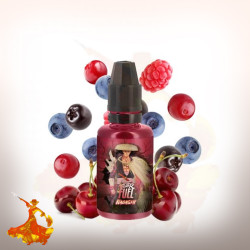 Concentré Nagashi 30ml Fighter Fuel by Maison Fuel