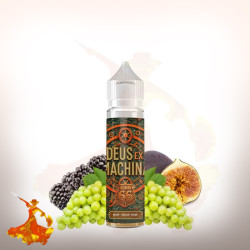 E-liquid Mûre Raisin Figue 50ml Deus Ex Machina by Capella x Juice 66