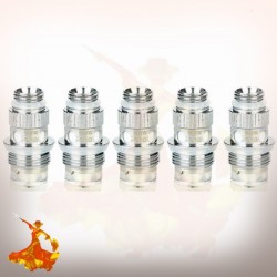 Mèches NS 1.2ohm ou 1.6ohm Geek vape