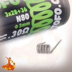 Coil Pré monté Ni80 Alien Wires Prebuilt (10pcs) Wotofo