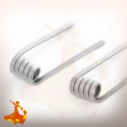 Coil pré fait N80 Framed Staple Clapton 0.33ohm Wotofo