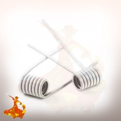 Coil pré fait Ni80 Dual Core Fused Clapton 2*30+38G / 0.90ohm Wotofo